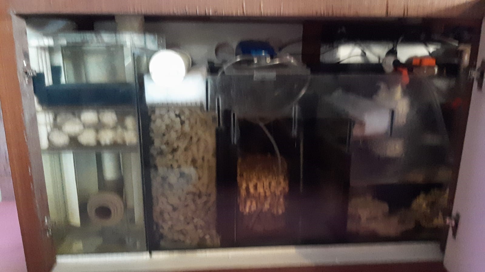 Gerador de Ozônio O3FISH - 250mg/h - Saúde & Proteção para seus Peixes