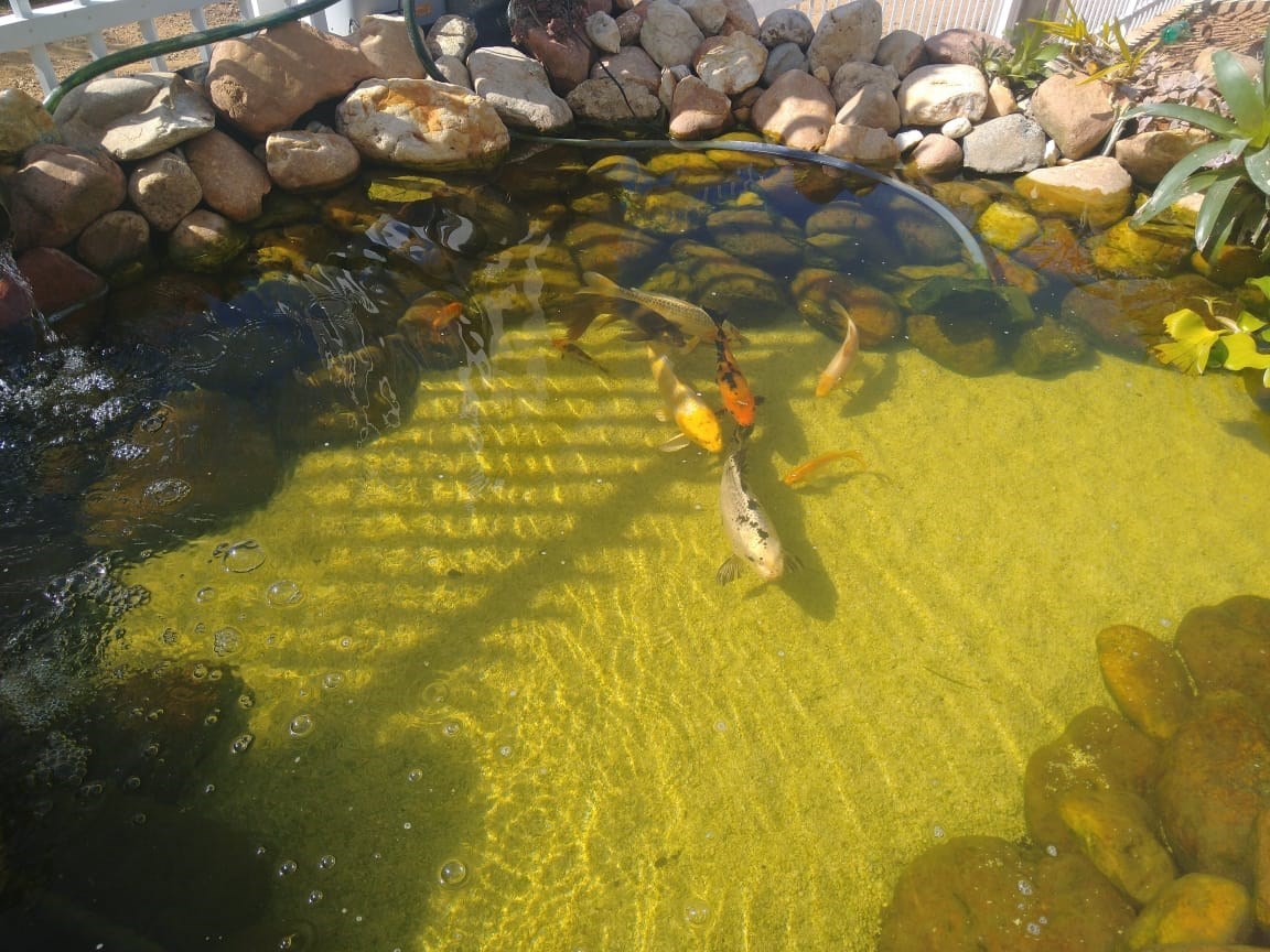 Gerador de Ozônio O3FISH - 250mg/h - Saúde & Proteção para seus Peixes