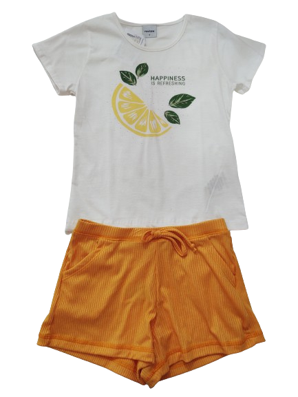 Conjunto Inf Menina Blusa e Short Rovitex 4 ao 10
