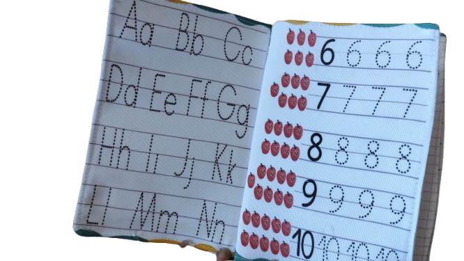 Livro Pintar e Lavar. Animais