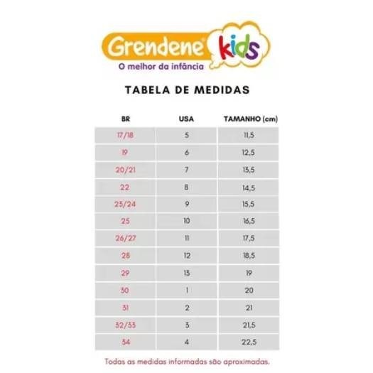 Chinelo Infantil Menino Ipanema Temas Grendene 23 a 36