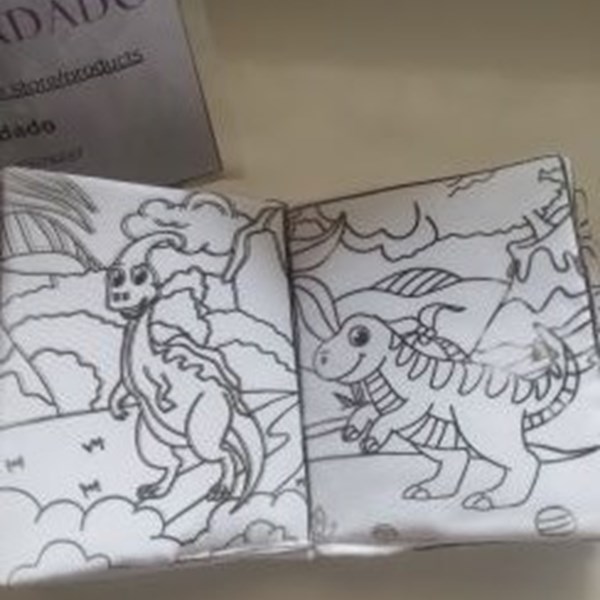 Livro de Tecido Pintar e Lavar